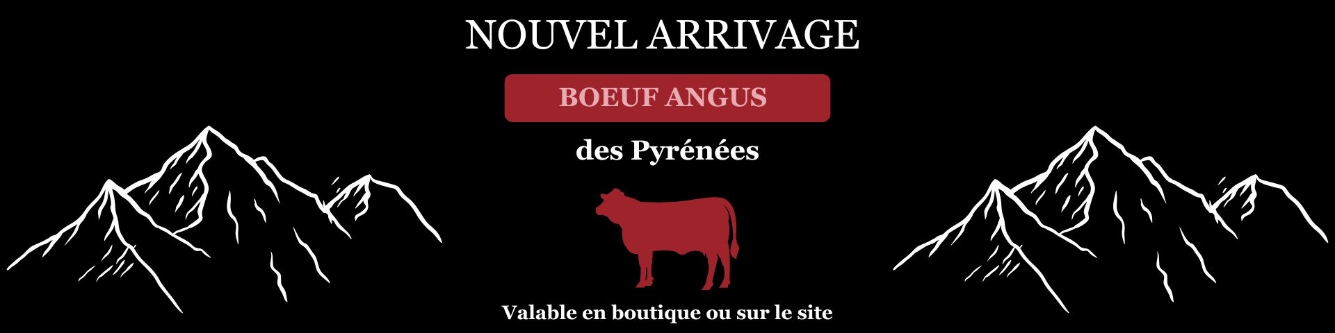 Boeuf Angus du Sud Ouest